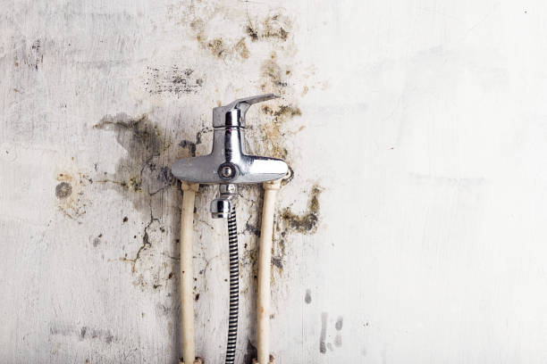 Best Water Damage Restoration  in Sachse, TX